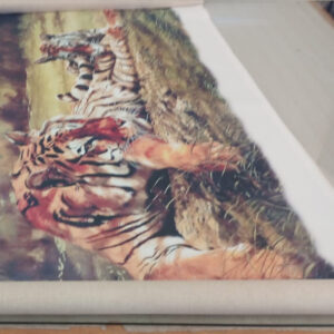 Impresión digital de gran formato en Alta Resolución con tinta ecosolvente sobre Tela Multitex Tipo Canvas